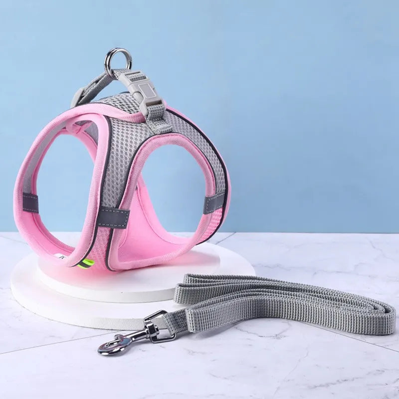 🐶 Dog Harness with Leash