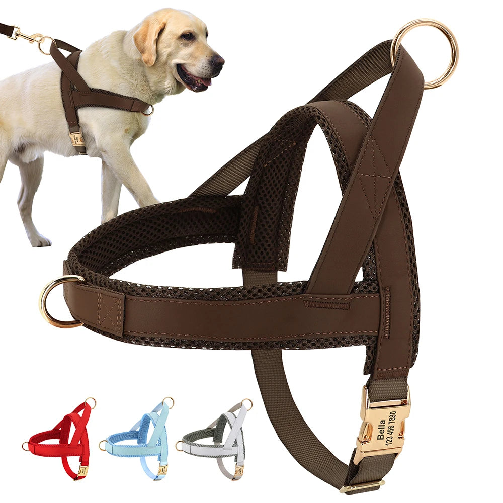 🐕 Personalized No-Pull Dog Harness – Adjustable Training Vest