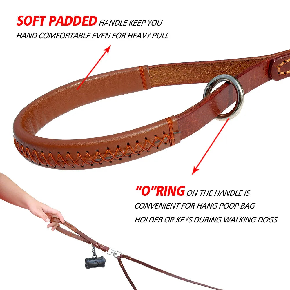 2-Way Double Dog Leash – No-Tangle Leather Coupler for Walking Two Dogs