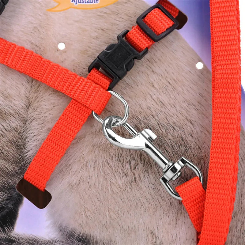 🐱 Adjustable Cat Harness & Leash Set – Comfortable Nylon Design (5 Colors)