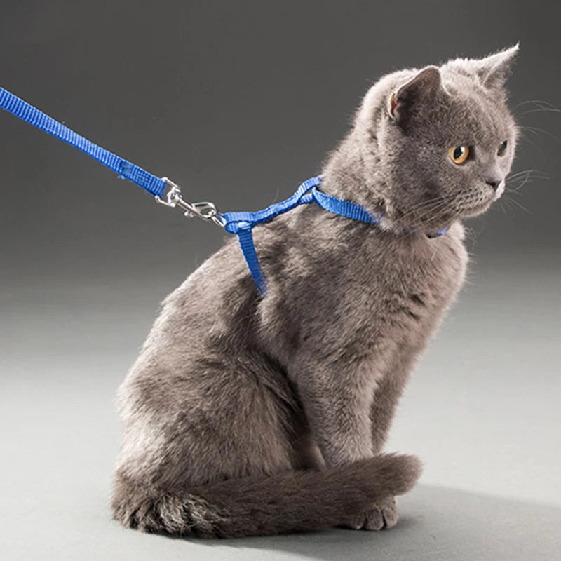 🐱 Adjustable Cat Harness & Leash Set – Comfortable Nylon Design (5 Colors)