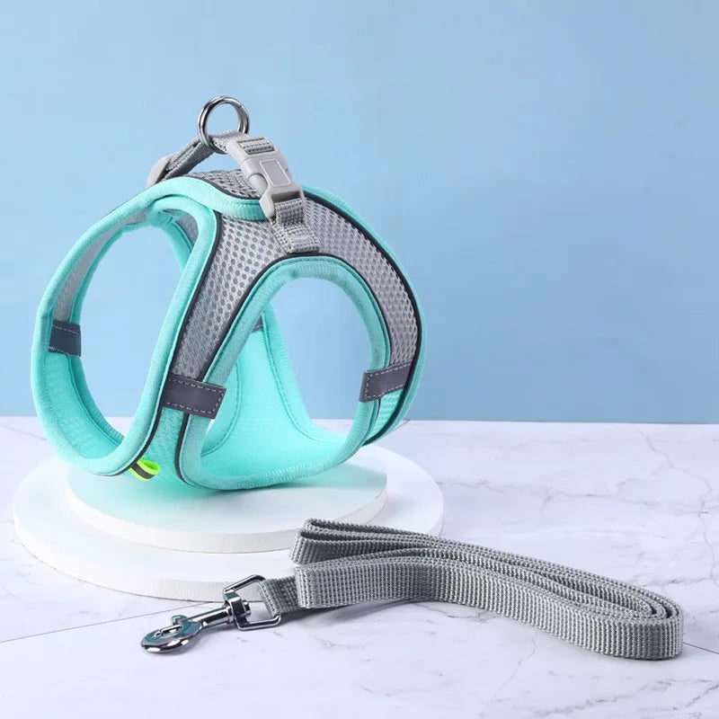 🐶 Dog Harness with Leash