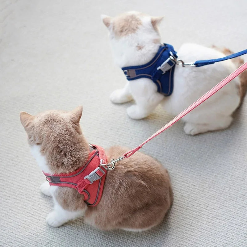 🐾 Adjustable Dog & Cat Harness with Leash