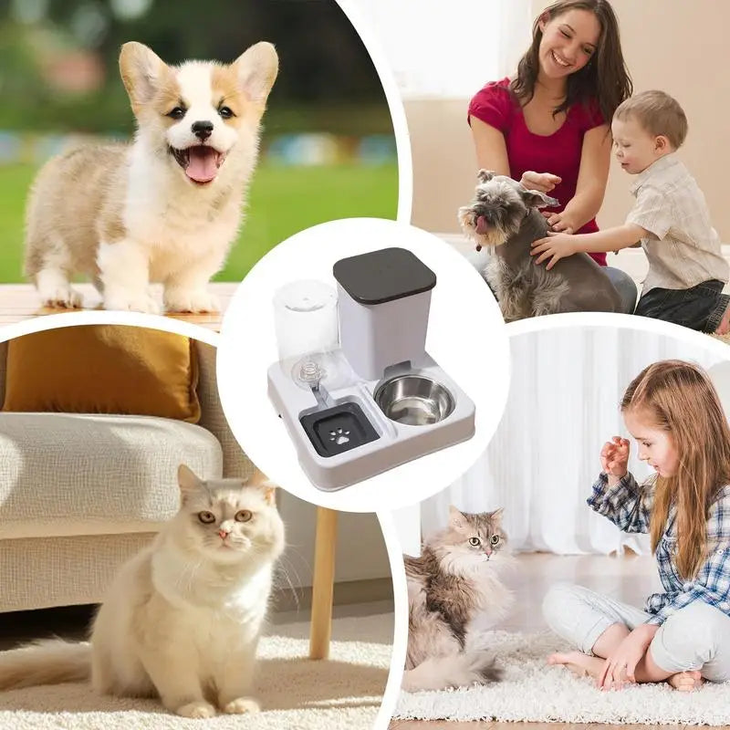 🐾 2 in 1 Automatic Pet Feeder & Water Dispenser for Cats and Small Dogs
