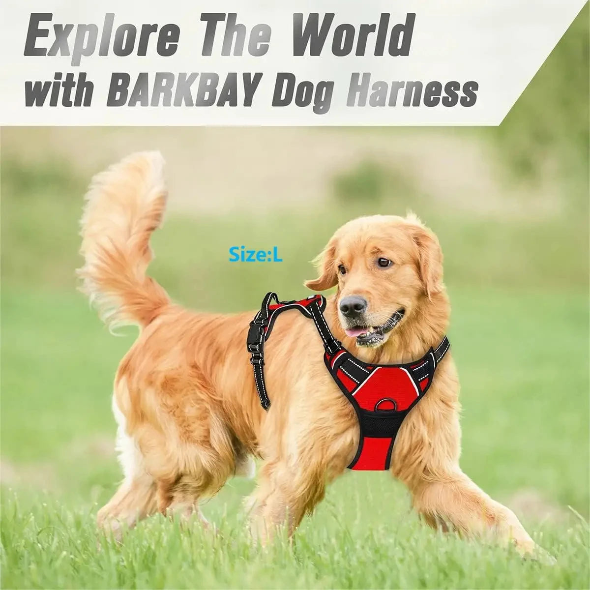 🐕🦺 No-Pull Dog Harness with Front Clip