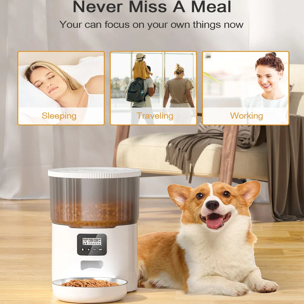 🐾 4L Smart WiFi Automatic Pet Feeder for Cats & Dogs