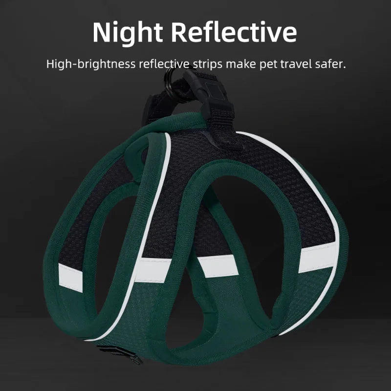 🐶🐱 Adjustable Pet Harness for Small Dogs & Cats