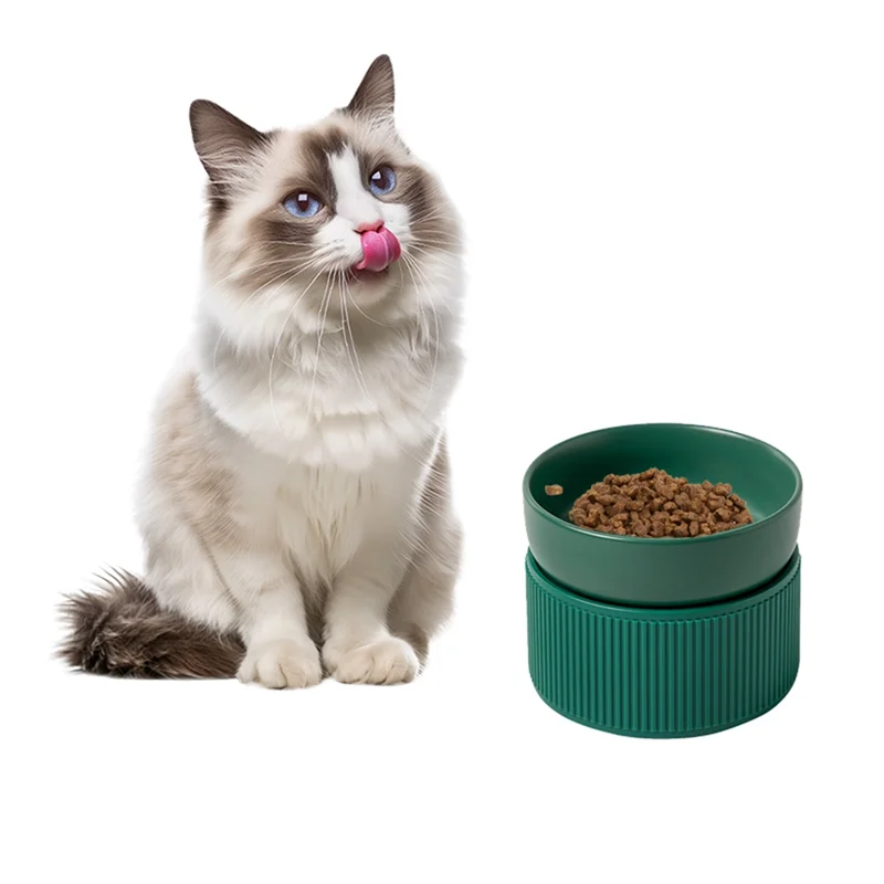 🐱 Elevated Pet Bowl – Anti-Black Chin & Neck-Friendly Design