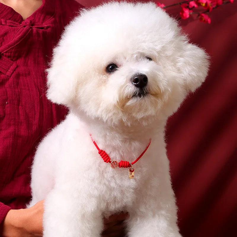 🧧 Chinese Style Lucky Pet Collar – Adjustable Braided Red Rope
