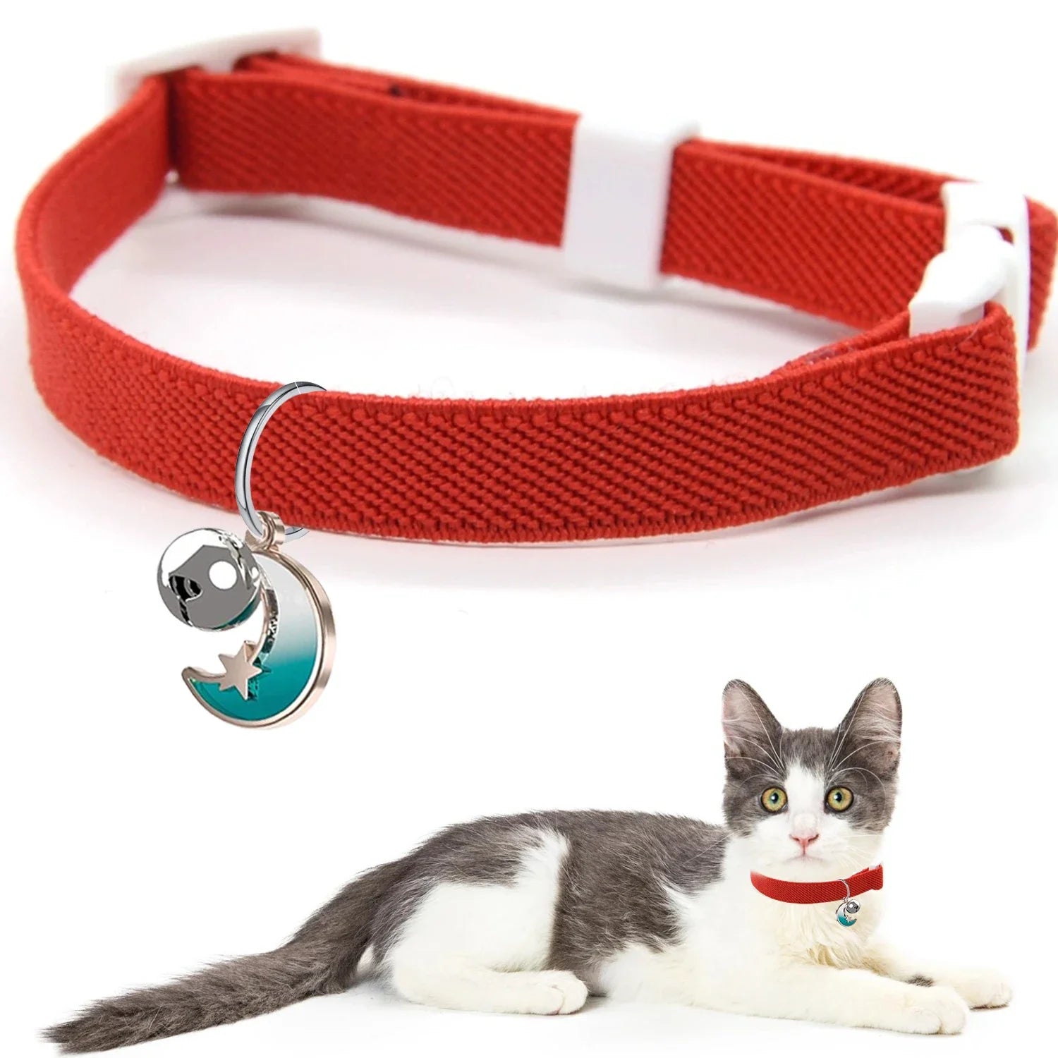 🐕🐈 Adjustable Pet Harness & Leash Set