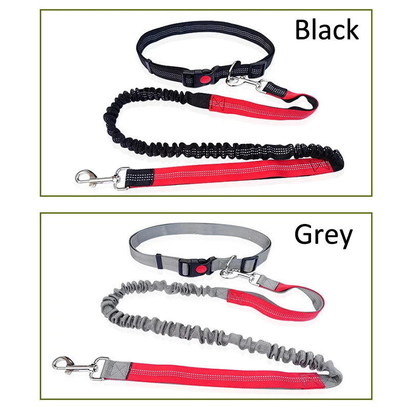 Durable Elastic Nylon Dog Leash for Running & Walking – Comfortable Shock-Absorbing Pet Leash