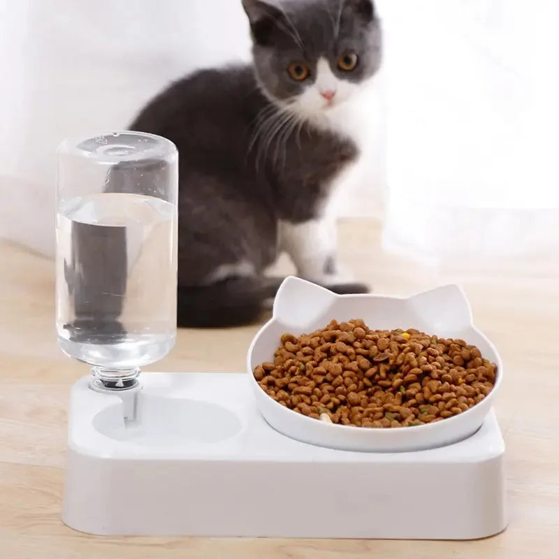 🥣 15° Tilted Pet Bowl with Automatic Water Dispenser