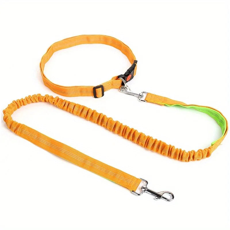 Durable Elastic Nylon Dog Leash for Running & Walking – Comfortable Shock-Absorbing Pet Leash