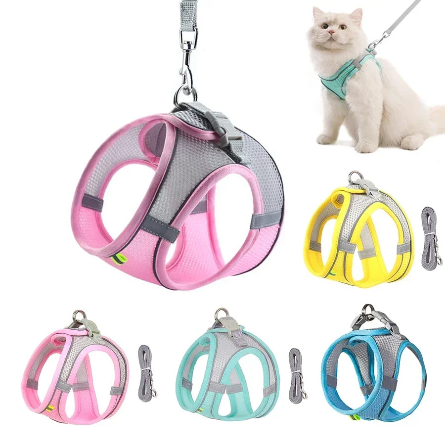 🐶 Dog Harness & Leash Set for Small Dogs