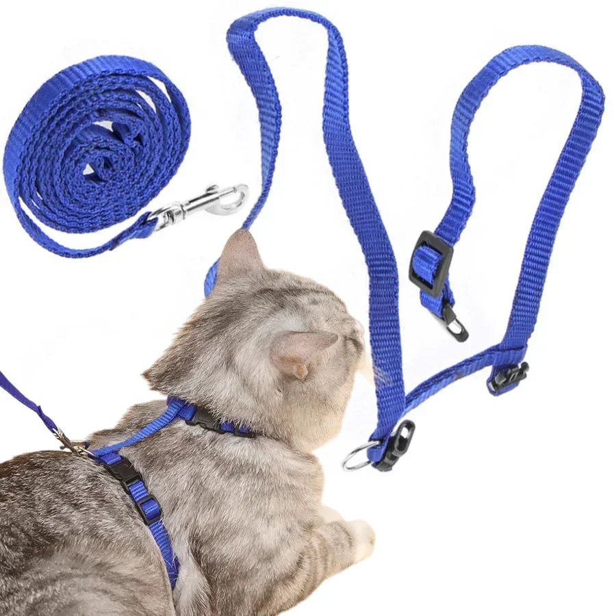 🐱 H-Style Cat Harness with Leash