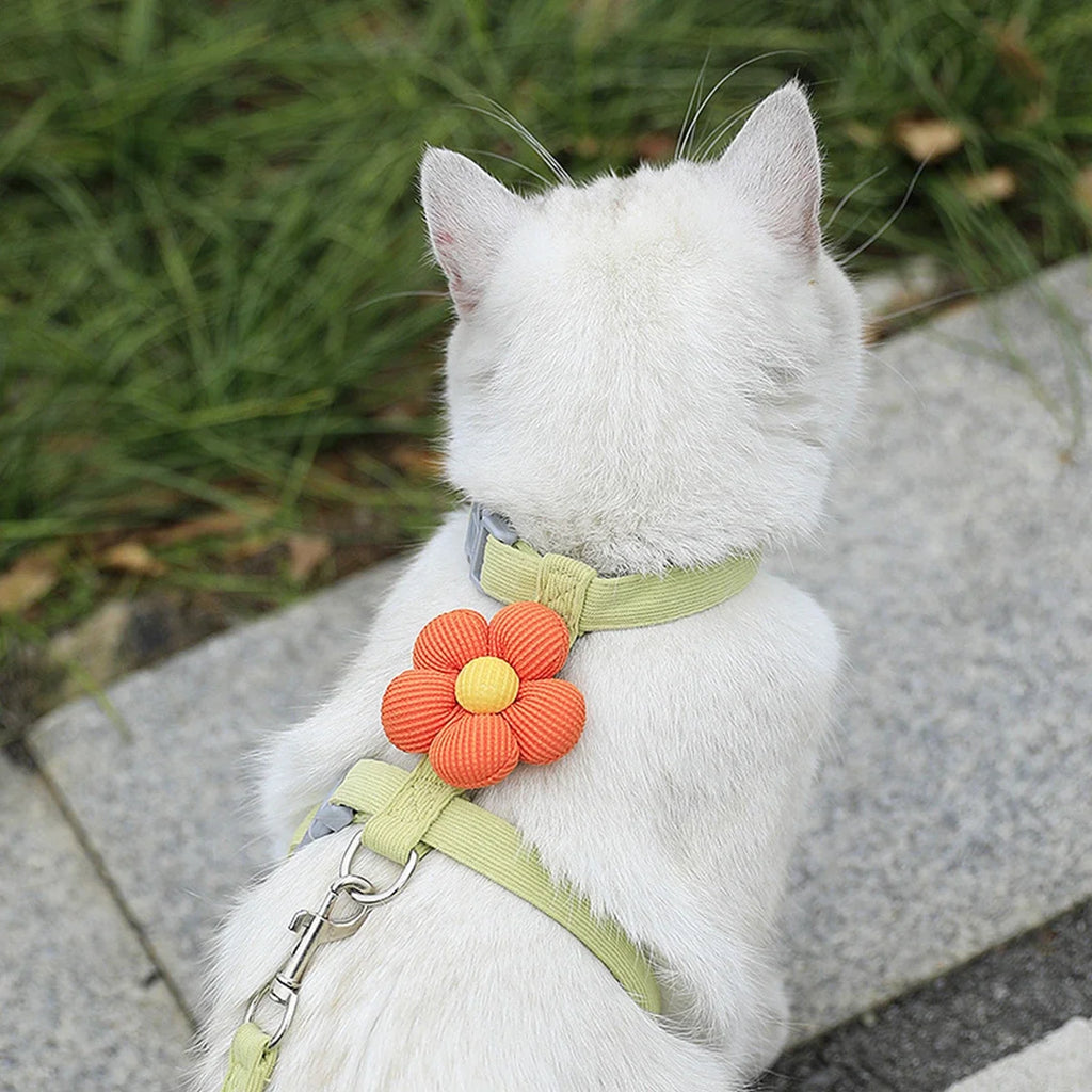🐱 Adjustable Cat Harness & Leash Set