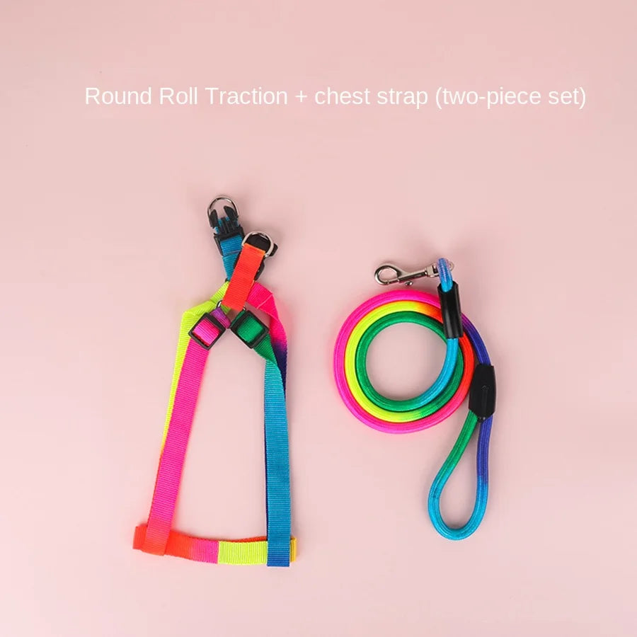 🌈 Colorful Rainbow Pet Harness & Leash Set
