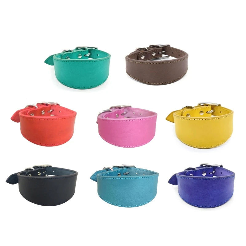 🐾 Wide Padded Genuine Leather Dog Collar