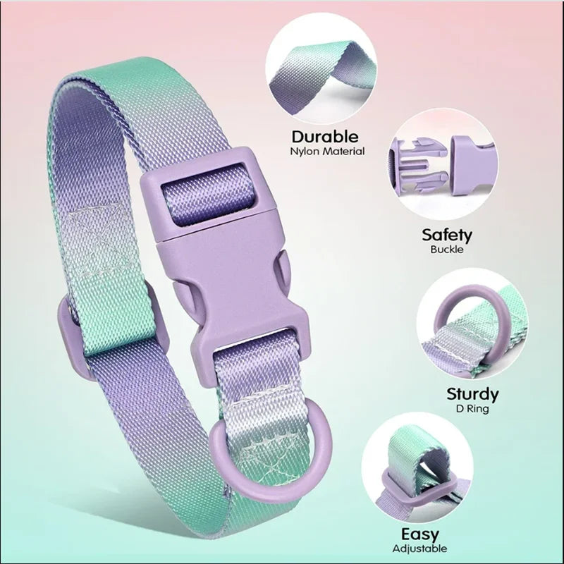 🌈 Gradient Nylon Dog Collar