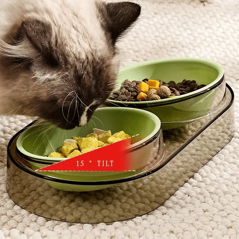 🐾 Durable Elevated Dual Bowl Feeder