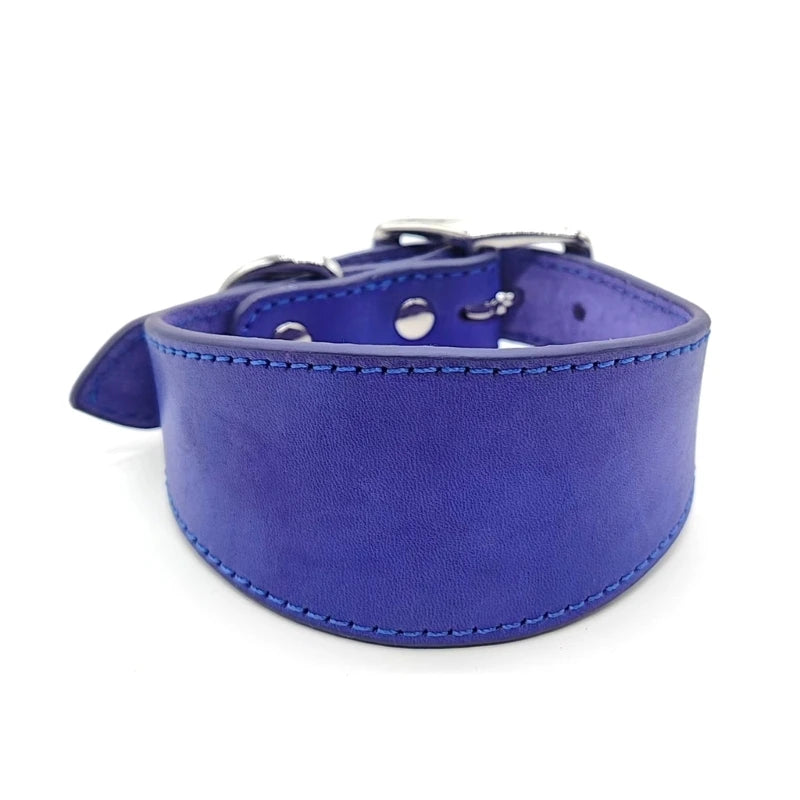 🐾 Wide Padded Genuine Leather Dog Collar