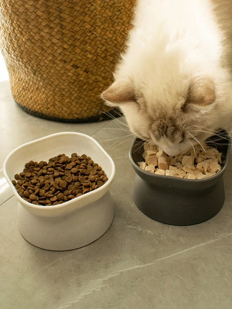 🐾 Pet Food & Water Bowl for Cats and Small Dogs