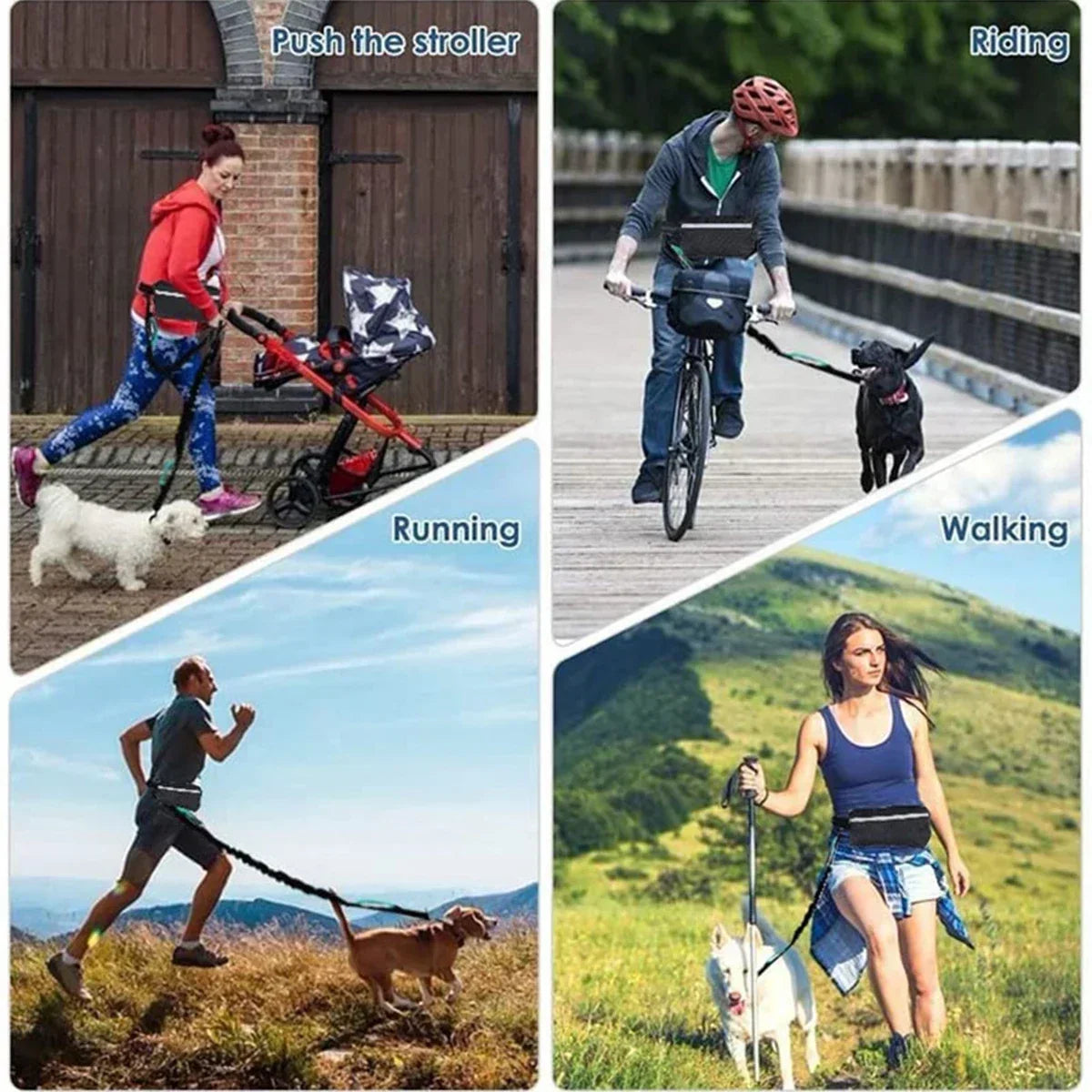 🏃‍♂️ Hands-Free Dog Running Waist Leash