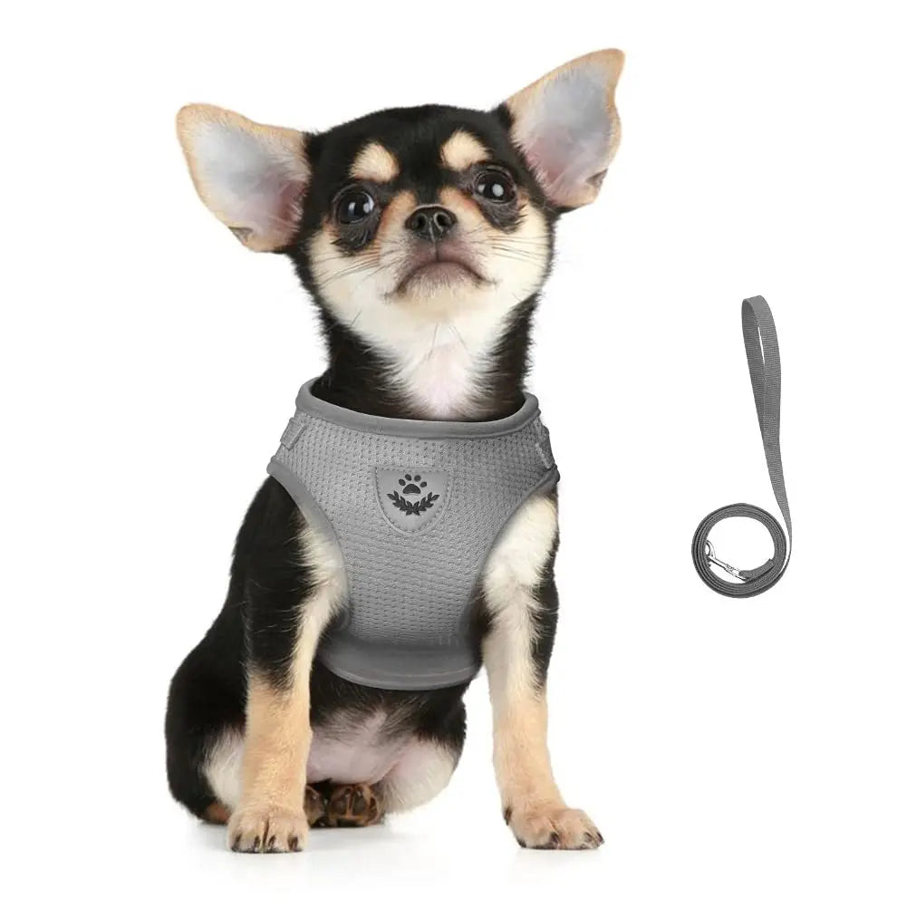 🐾 Cat Harness & Leash Set – Adjustable, Reflective & Escape-Proof
