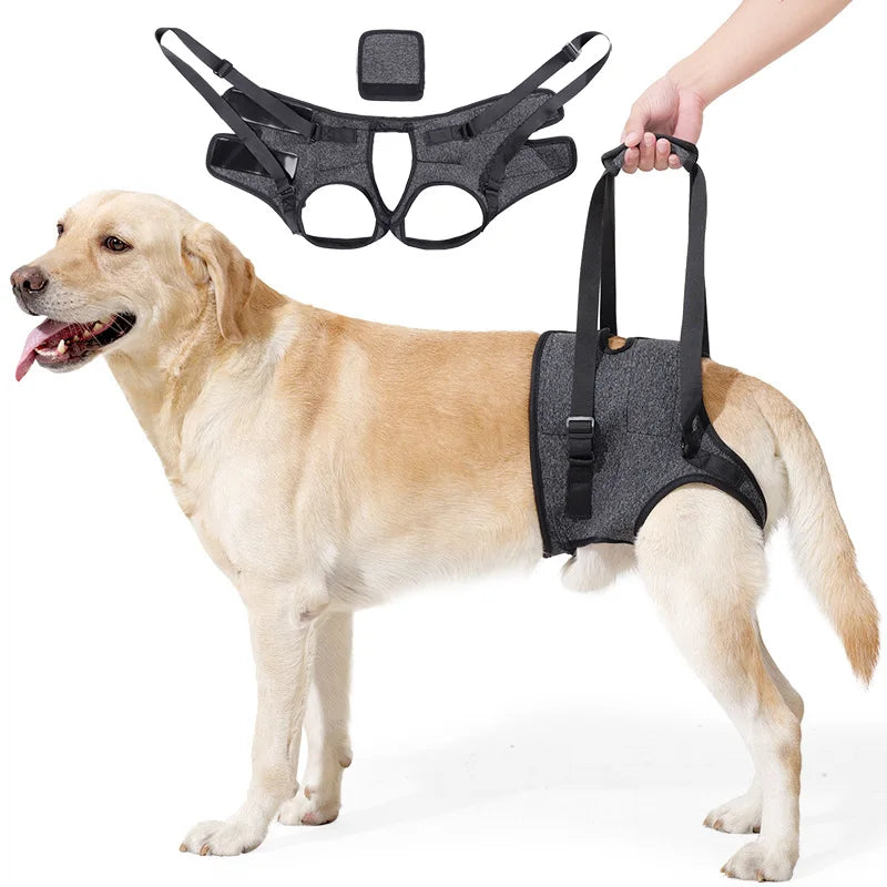 🐕 Dog Lift Harness for Large Dogs