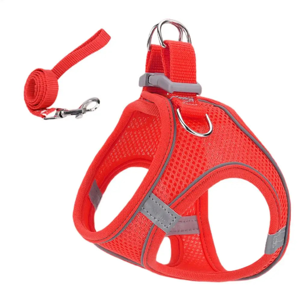 🐕🐈 Adjustable Pet Harness & Leash Set