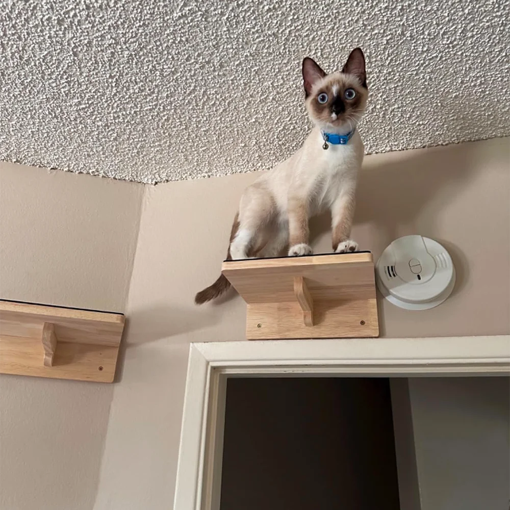 🐈 Prémium Fa Fali Macska Lépcső & Pihenőpolc – Strapabíró, Biztonságos & Stílusos Macskabútor 🐈