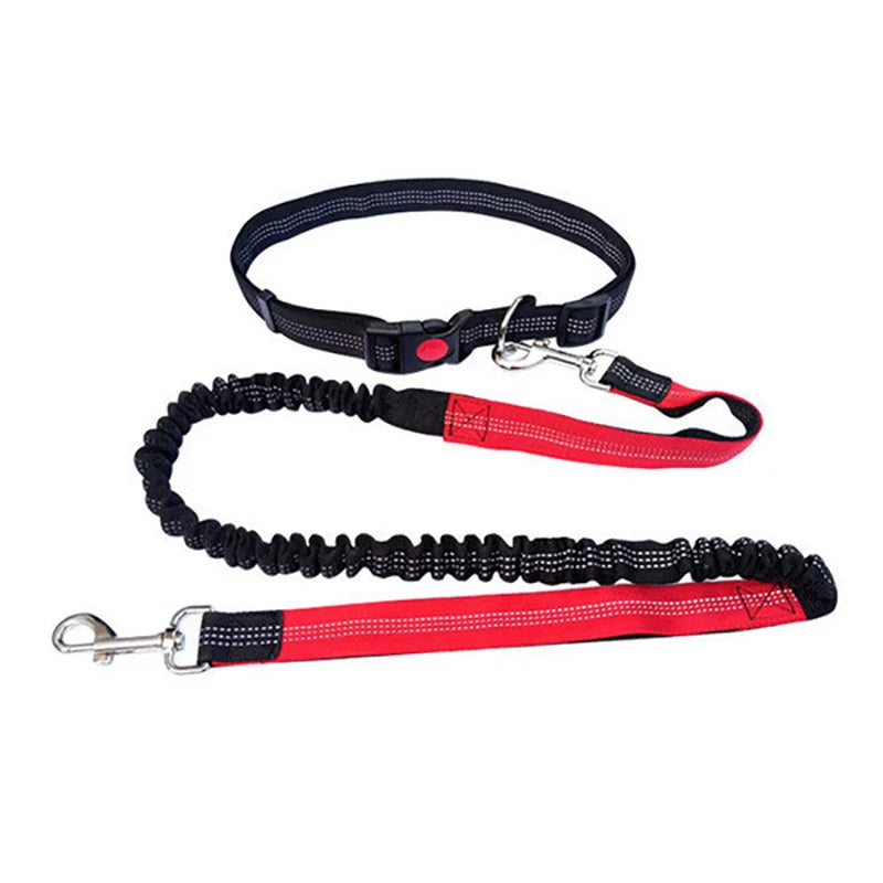 Durable Elastic Nylon Dog Leash for Running & Walking – Comfortable Shock-Absorbing Pet Leash