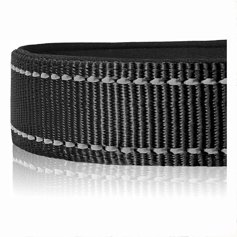 🐶 Soft Padded Reflective Nylon Dog Collar