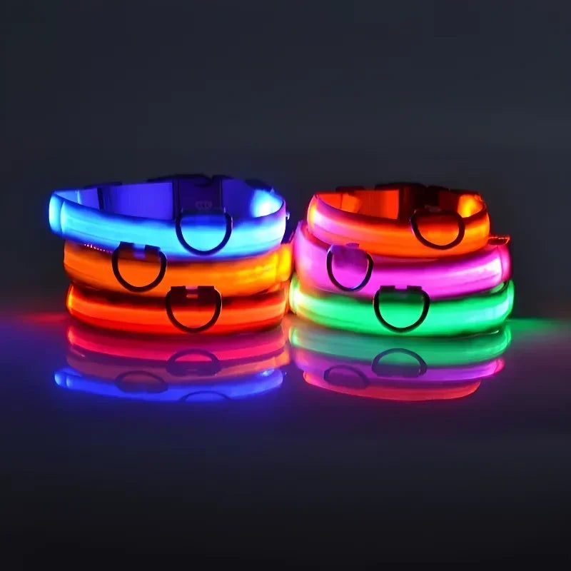 🌟🐶 LED Világító Kutyanyakörv – Biztonságos Éjszakai Séta • USB Tölthető • Több Szín & Méret 🌟🐶