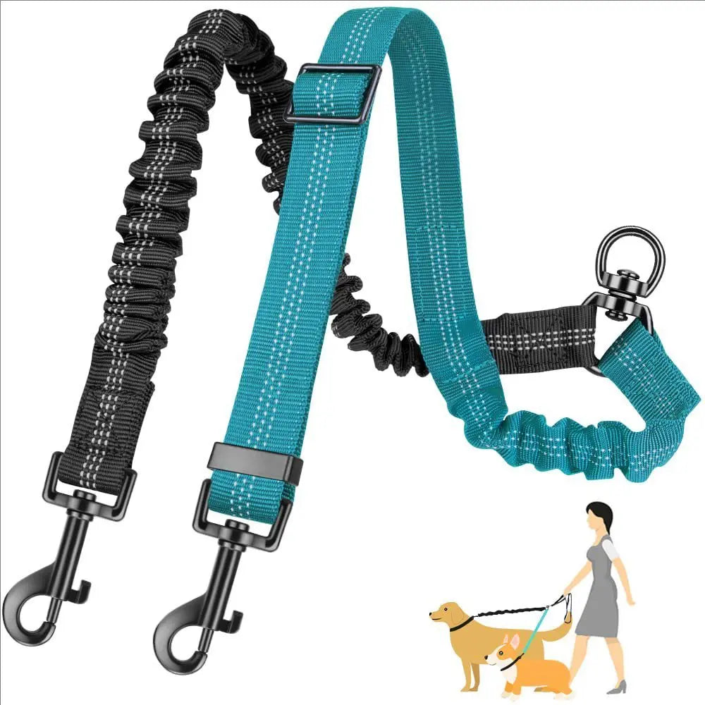 Elastic Double Dog Leash for Two Dogs – Shock Absorbing, Tangle-Free Training Leash