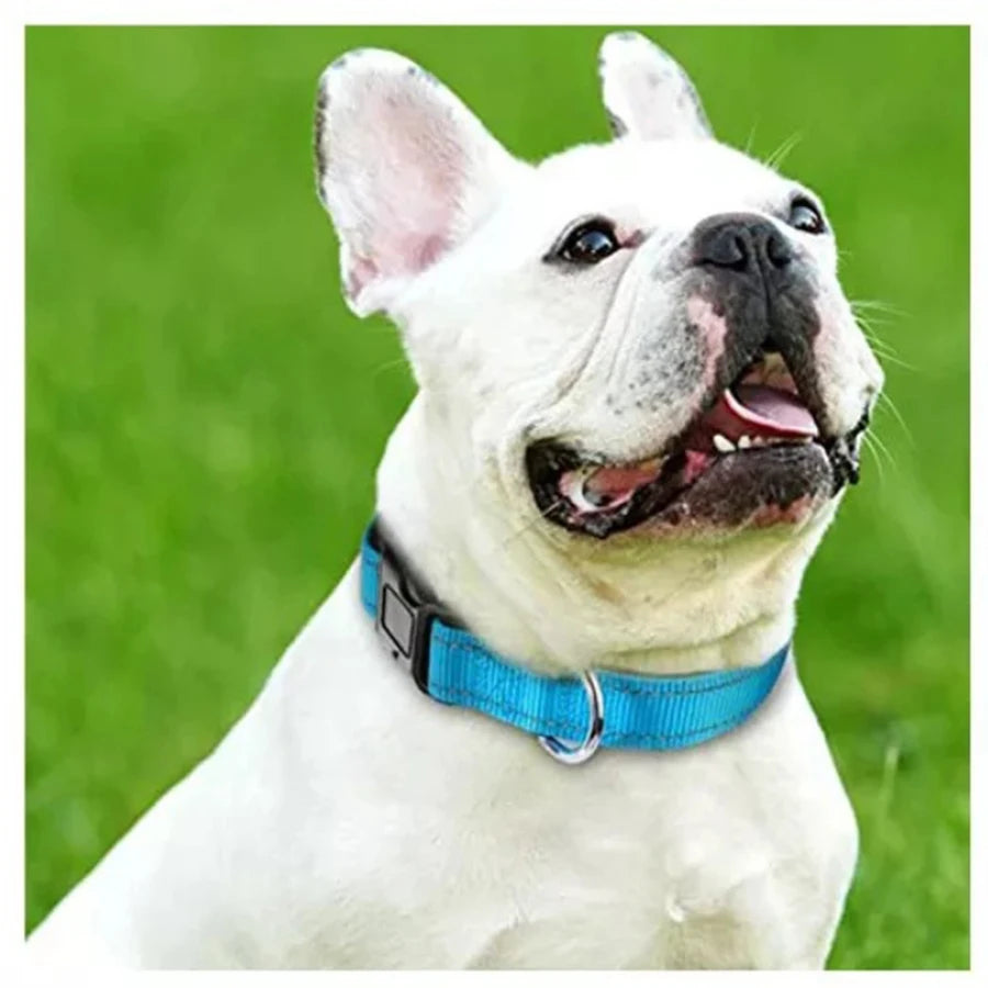 🐶 Soft Padded Reflective Nylon Dog Collar