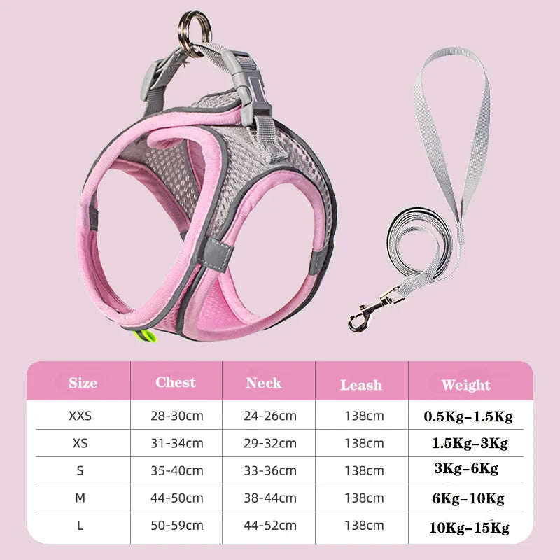🐶 Dog Harness & Leash Set for Small Dogs and Cats – Adjustable Vest Style