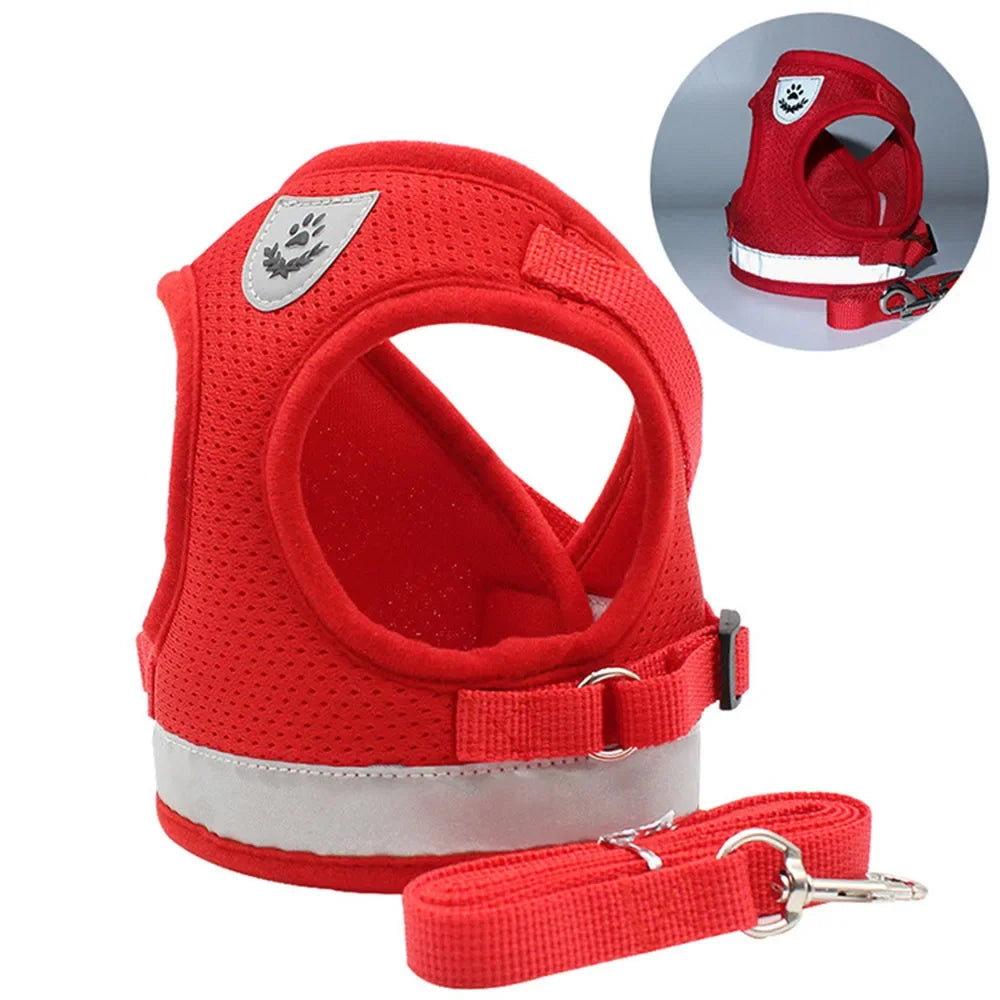 🐾 Cat Harness & Leash Set – Adjustable, Reflective & Escape-Proof