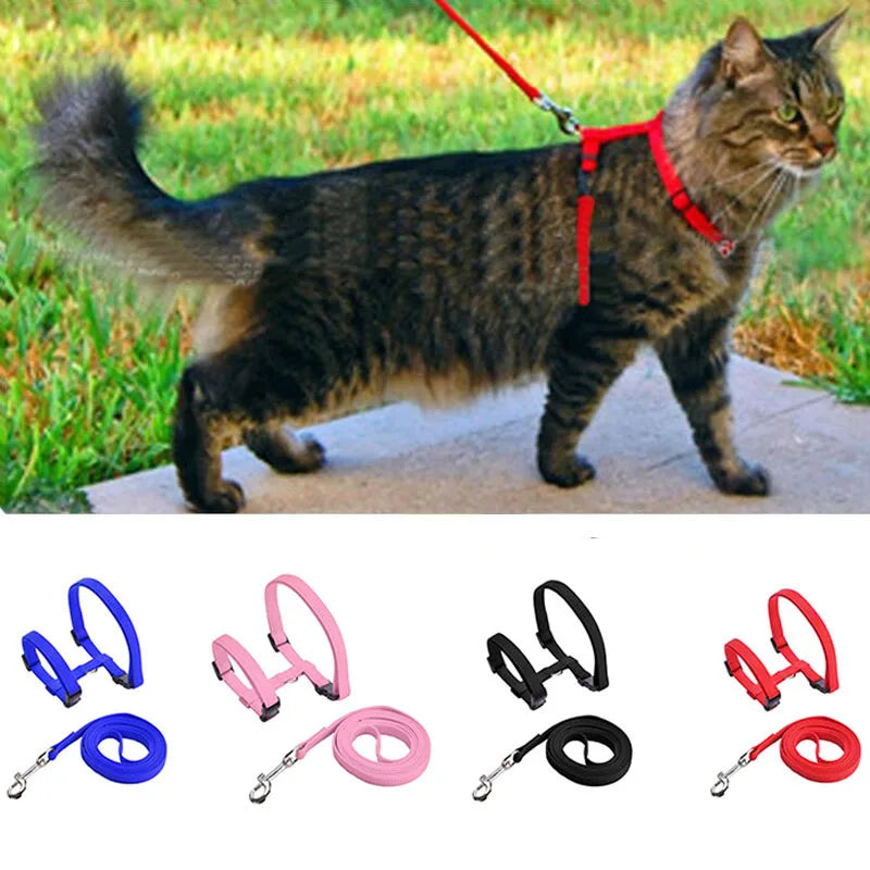 🐱 Adjustable Cat Harness & Leash Set – Safe Breakaway Nylon Design