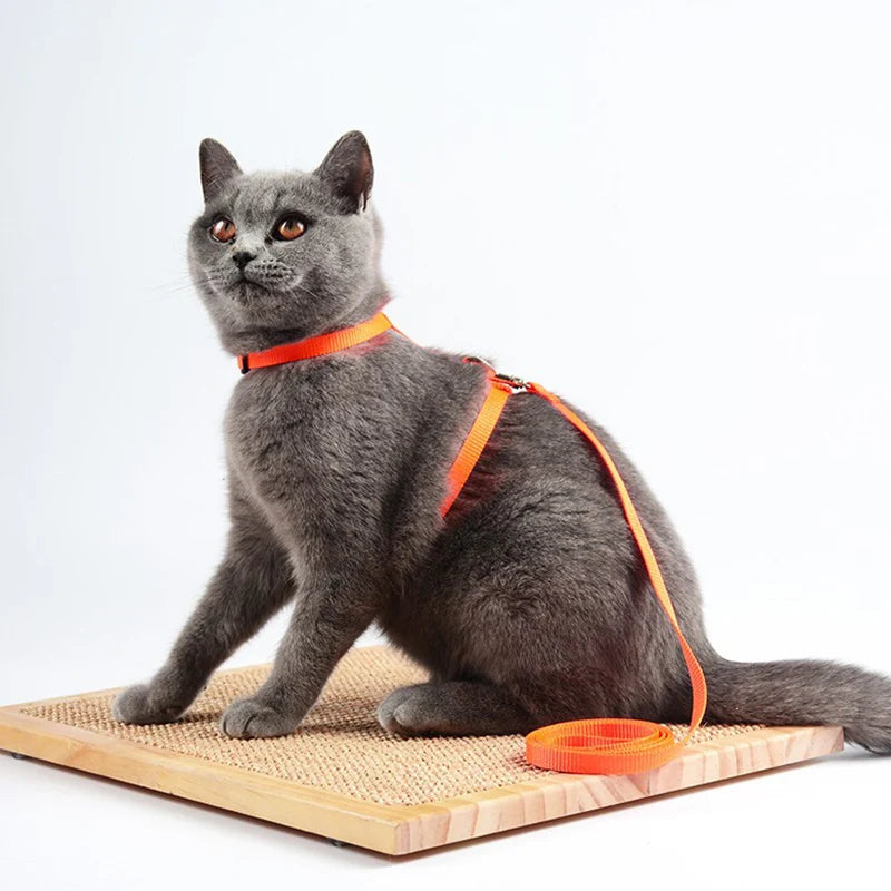 🐱 Adjustable Cat Harness & Leash Set – Safe Breakaway Nylon Design