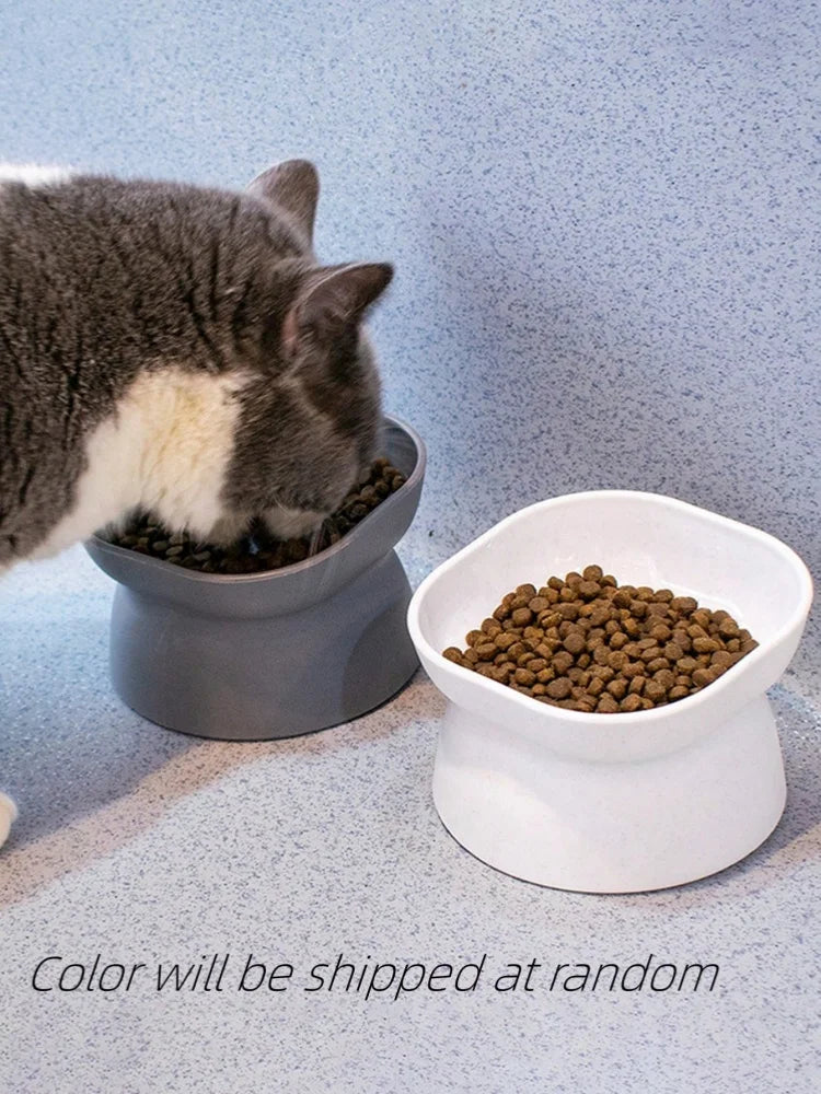 🐾 Pet Food & Water Bowl for Cats and Small Dogs