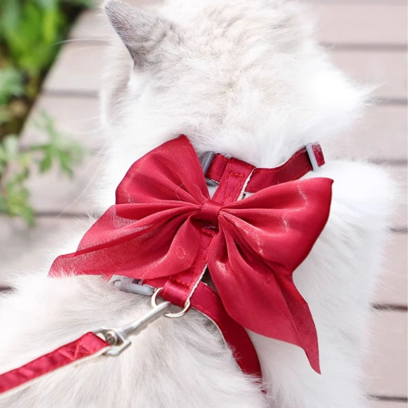 🎀 Adjustable Pet Harness with Leash