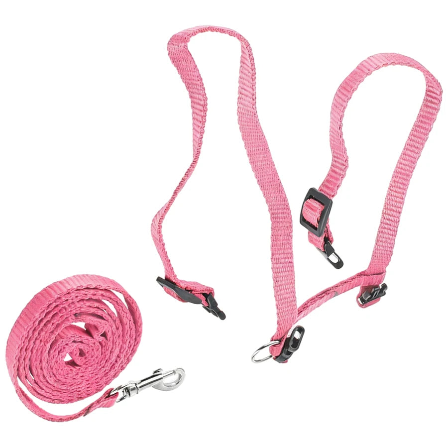 🐱 H-Style Cat Harness with Leash