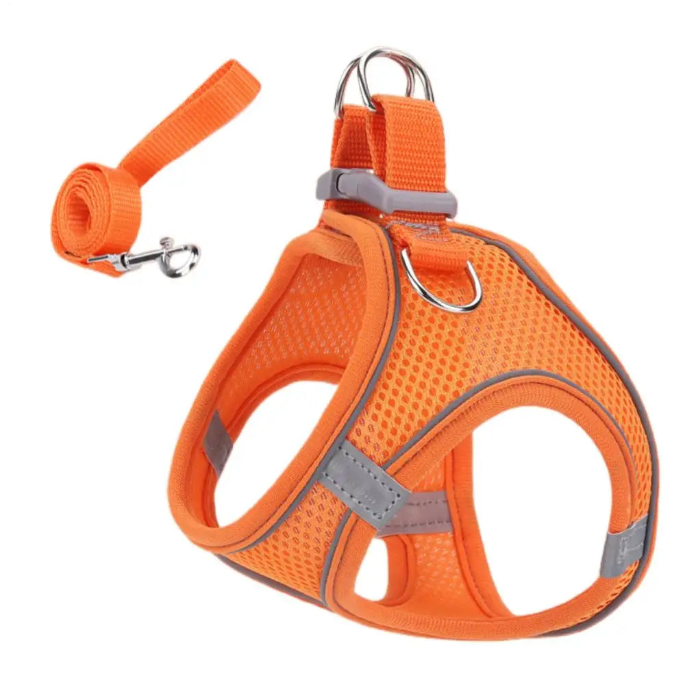🐕🐈 Adjustable Pet Harness & Leash Set