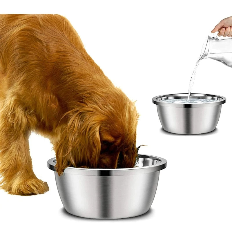 🥣🐶 Stainless Steel Dog Food & Water Bowl