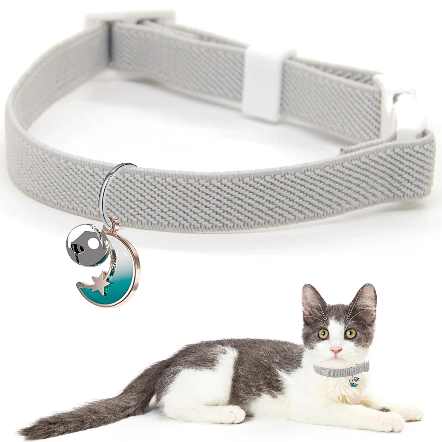 🐕🐈 Adjustable Pet Harness & Leash Set