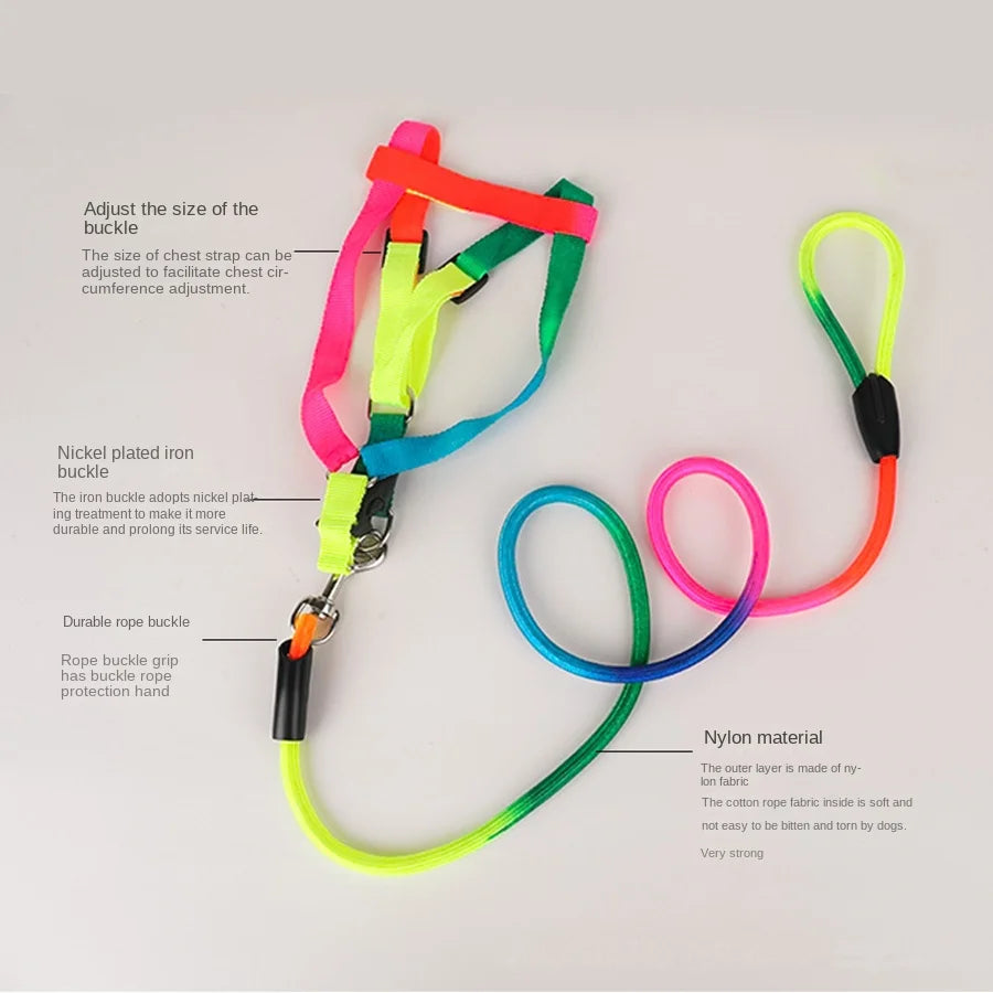 🌈 Colorful Rainbow Pet Harness & Leash Set