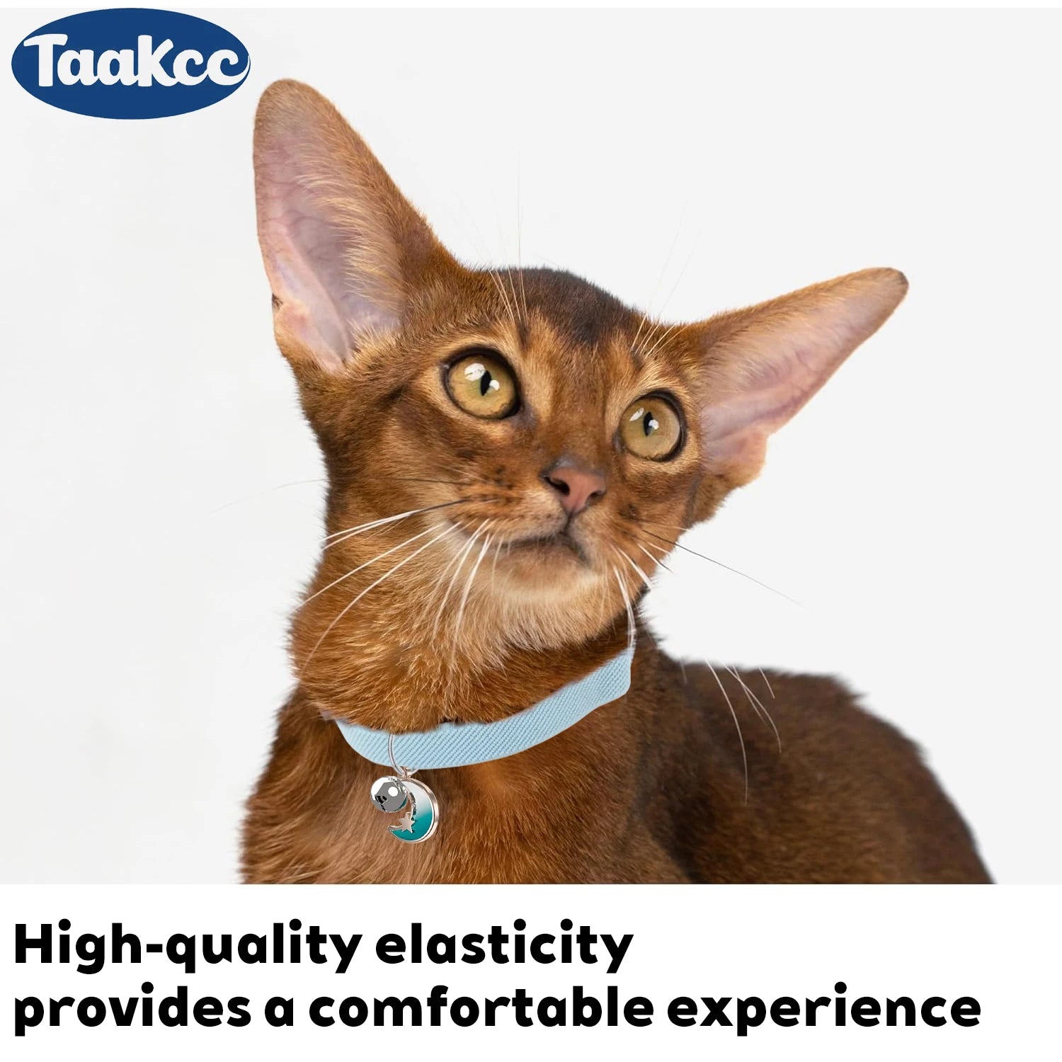 🐕🐈 Adjustable Pet Harness & Leash Set