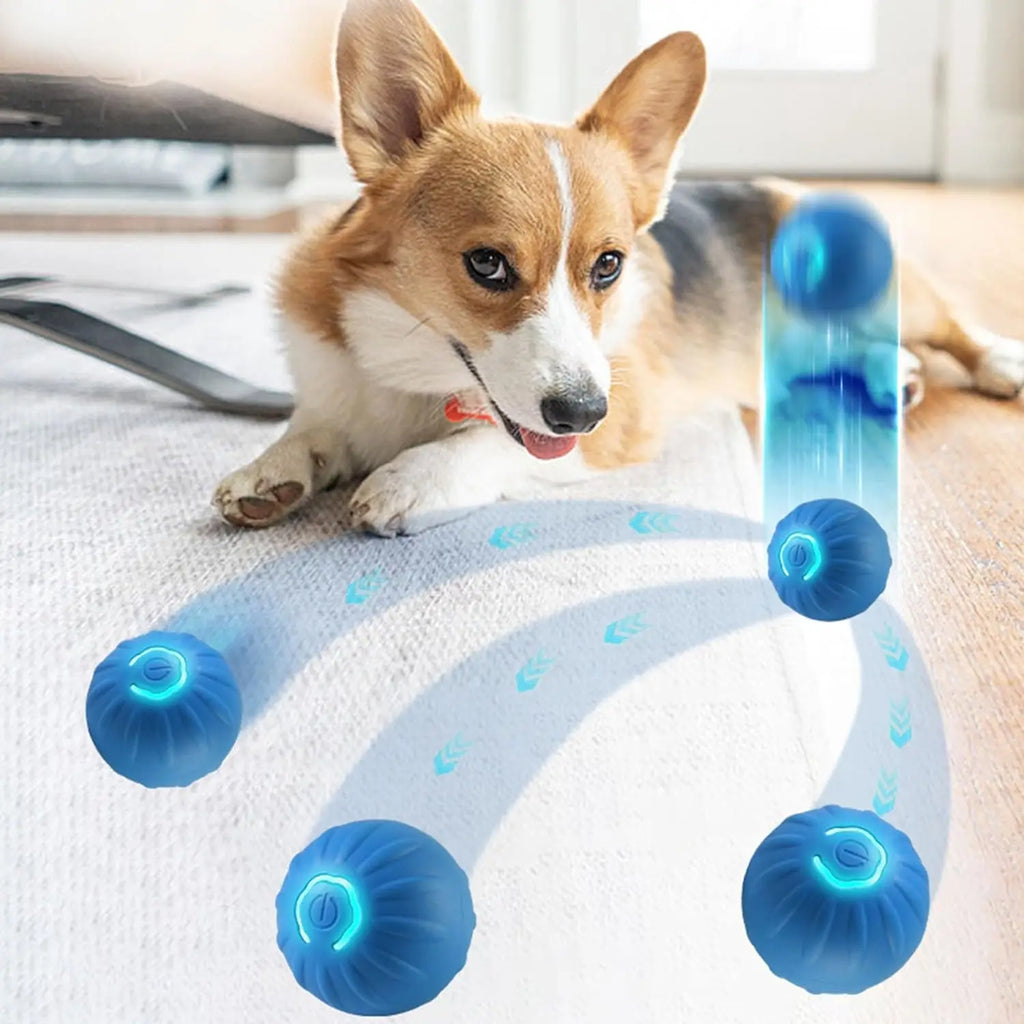🔵 Automatic Bouncing & Vibrating Dog Ball