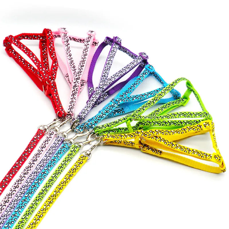 🐕 Fashion Adjustable Harness & Leash Set for Small Dogs & Cats